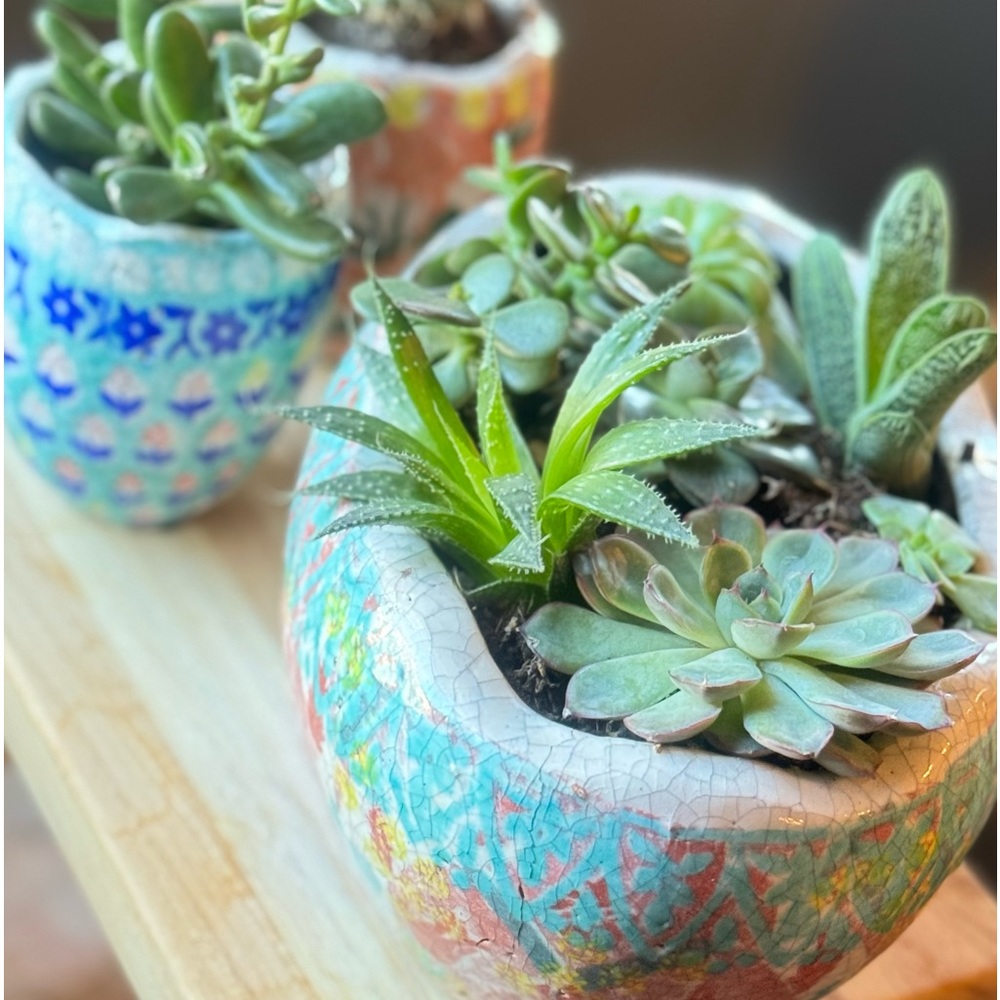 FOUND! Anthropologie Bismarck Planter - Picture 5 of 7